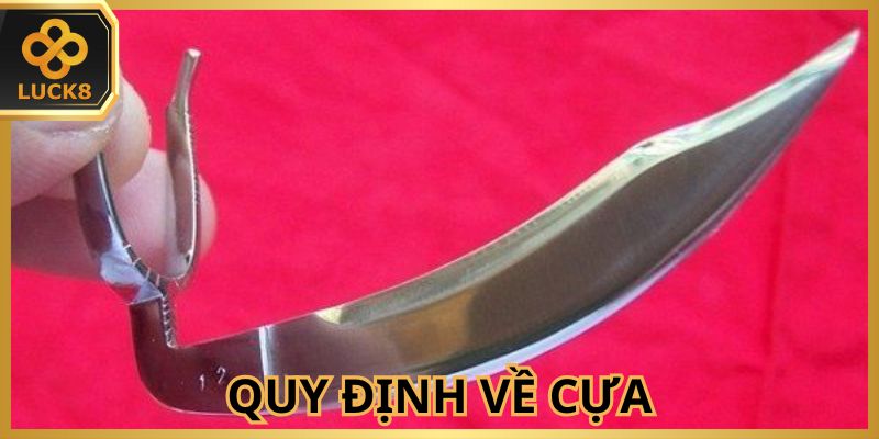 Cựa được kiểm tra kỹ trước khi bắt đầu