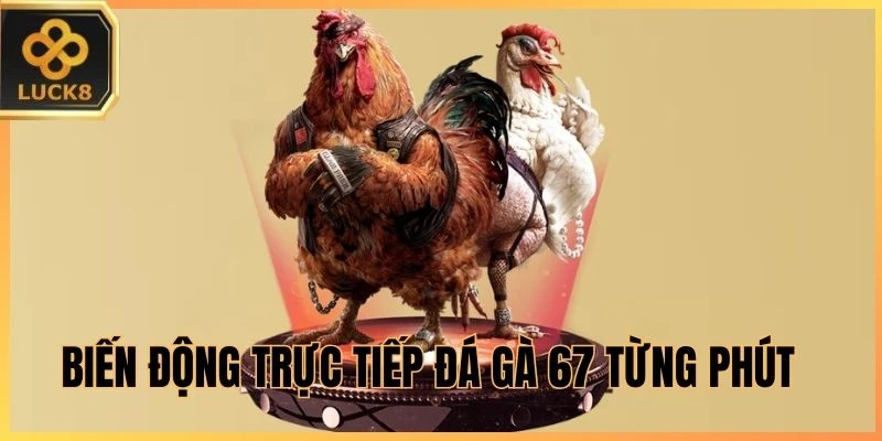 Biến động trực tiếp Đá Gà 67 từng phút