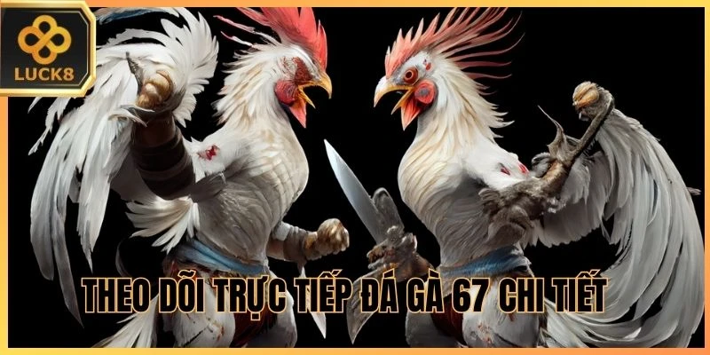 Theo dõi Trực Tiếp Đá Gà 67 chi tiết