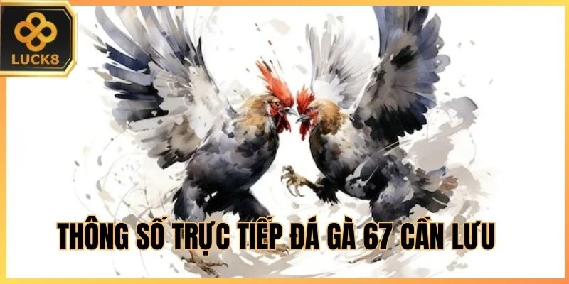 Thông số trực tiếp đá gà 67 cần lưu